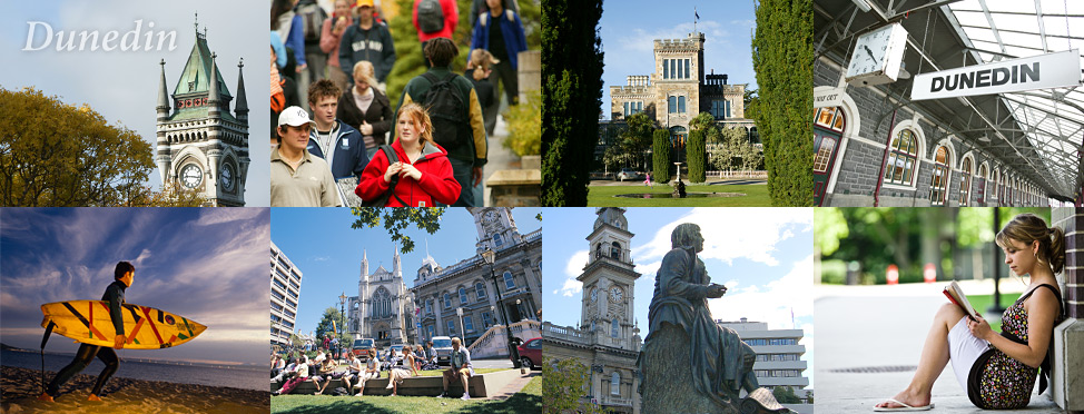Dunedin Homepage